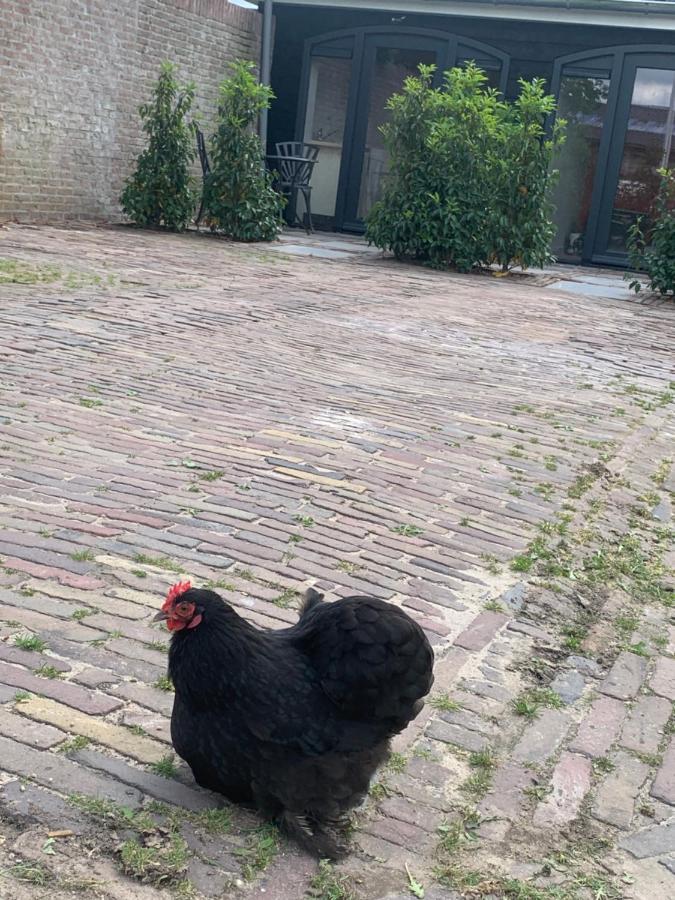 Het Dijkje Utrecht Daire Dış mekan fotoğraf